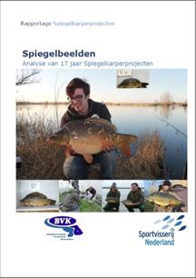 Het rapport Spiegelbeelden is uit!